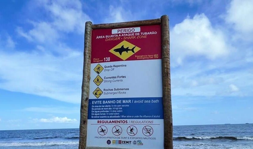  Shark kills 13-year-old boy at popular beach in Brazil: “Ate almost his entire leg”