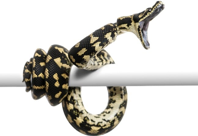  Python libraries in AI/ML models can be poisoned w metadata • The Register