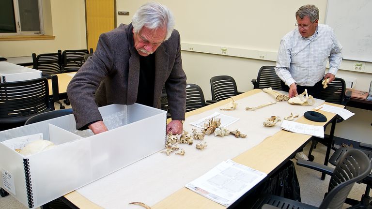 The remains of the Kennewick Man are boxed up at the University of Wyoming in 2014. Pic: AP