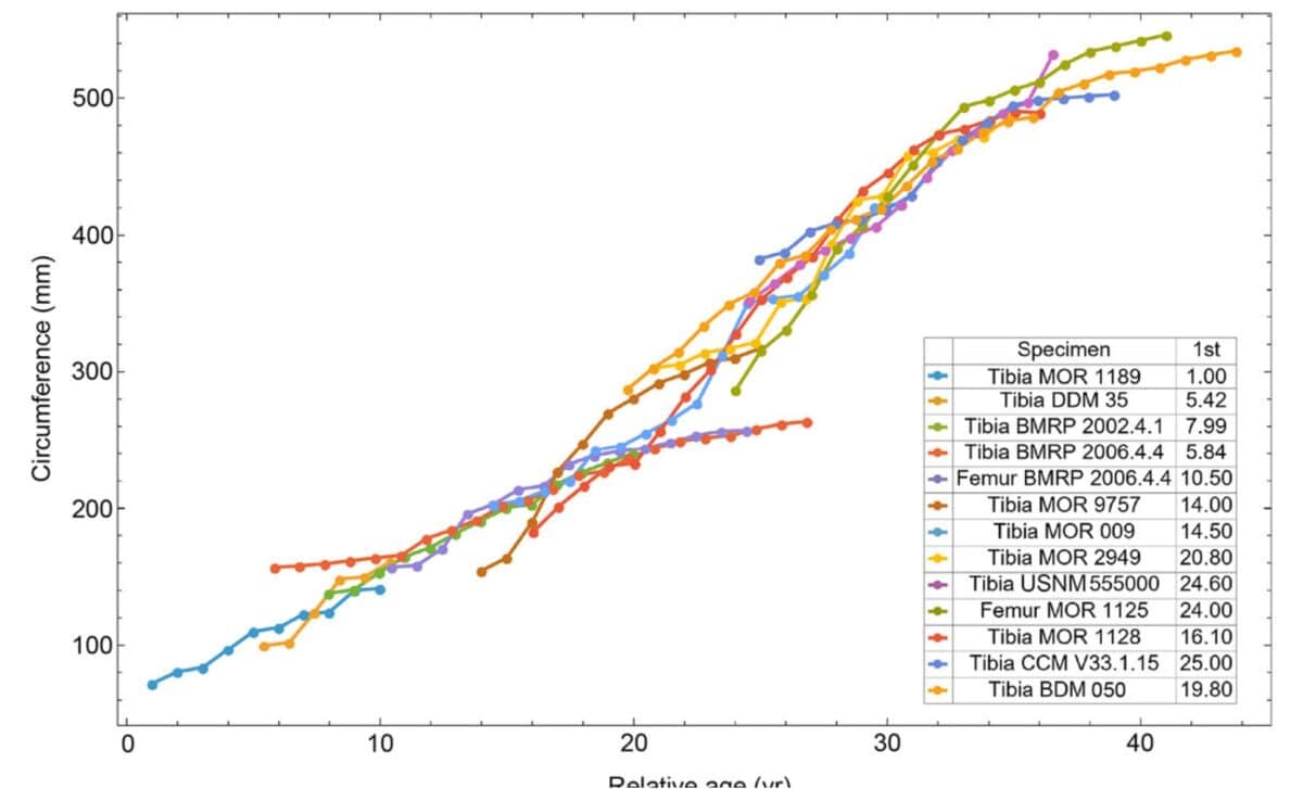  Starting Ages Of The Growth Series In The Trex1 A Dataset Are Assigned To Minimize Series To Series Overlap Distance