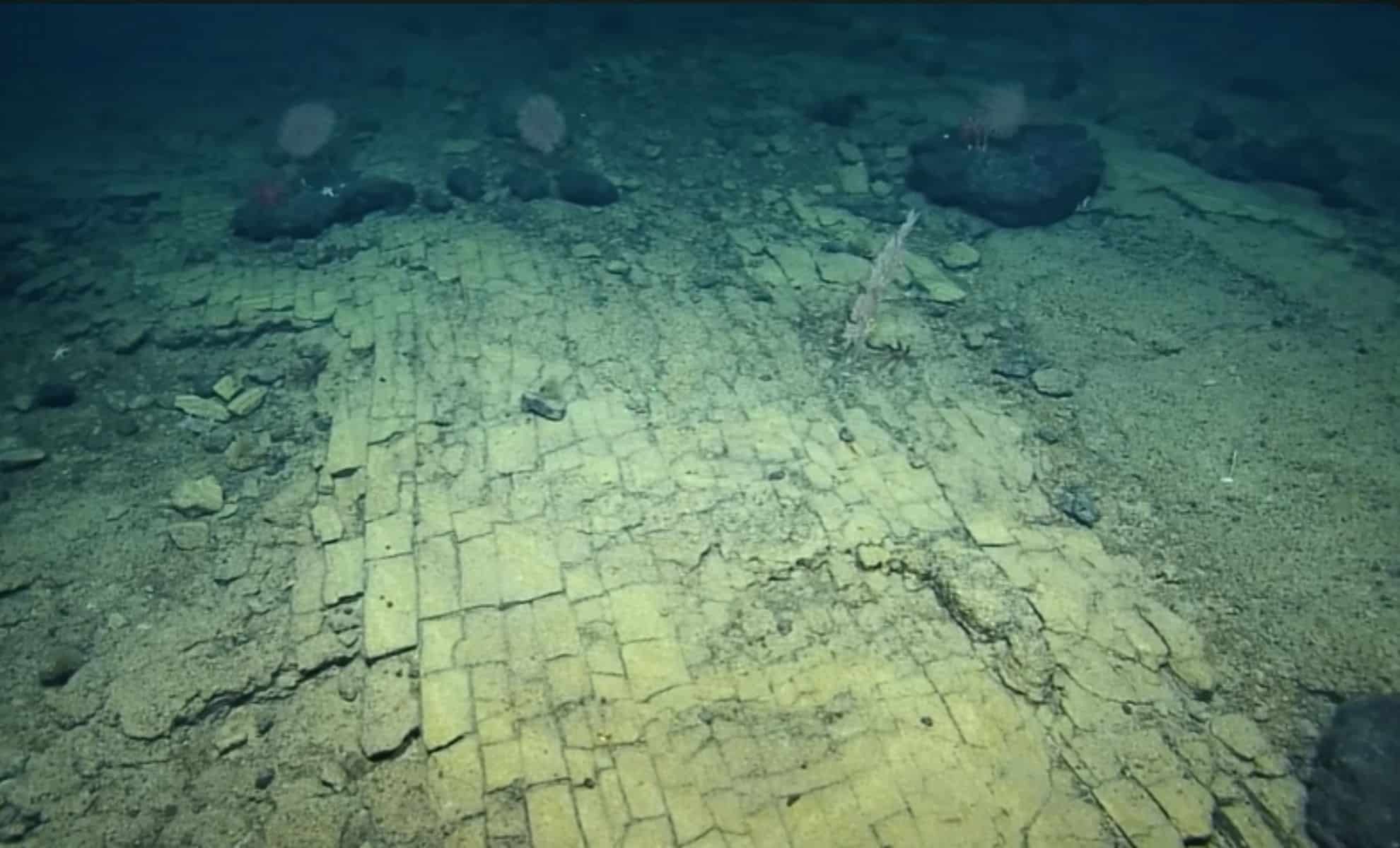  A Sunken Road to Atlantis? Scientists Make Unbelievable Find in Area With Only 3% Seafloor Explored