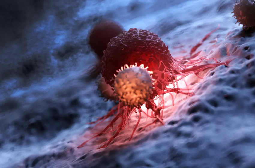  The hidden reason cancer immunotherapy often fails