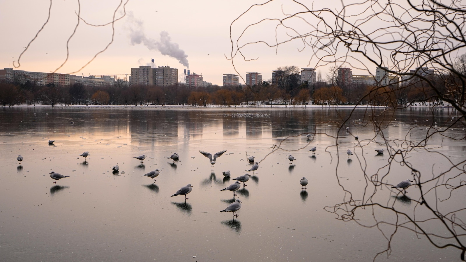  Freezing rain and ice disrupt travel across central and eastern Europe