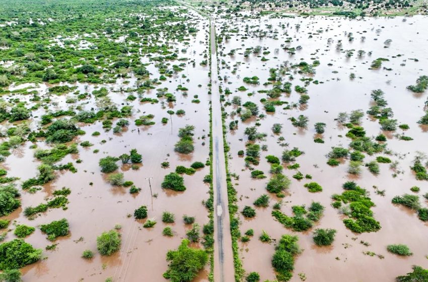  Climate change worsened rains, floods which killed dozens in southern Africa: Study