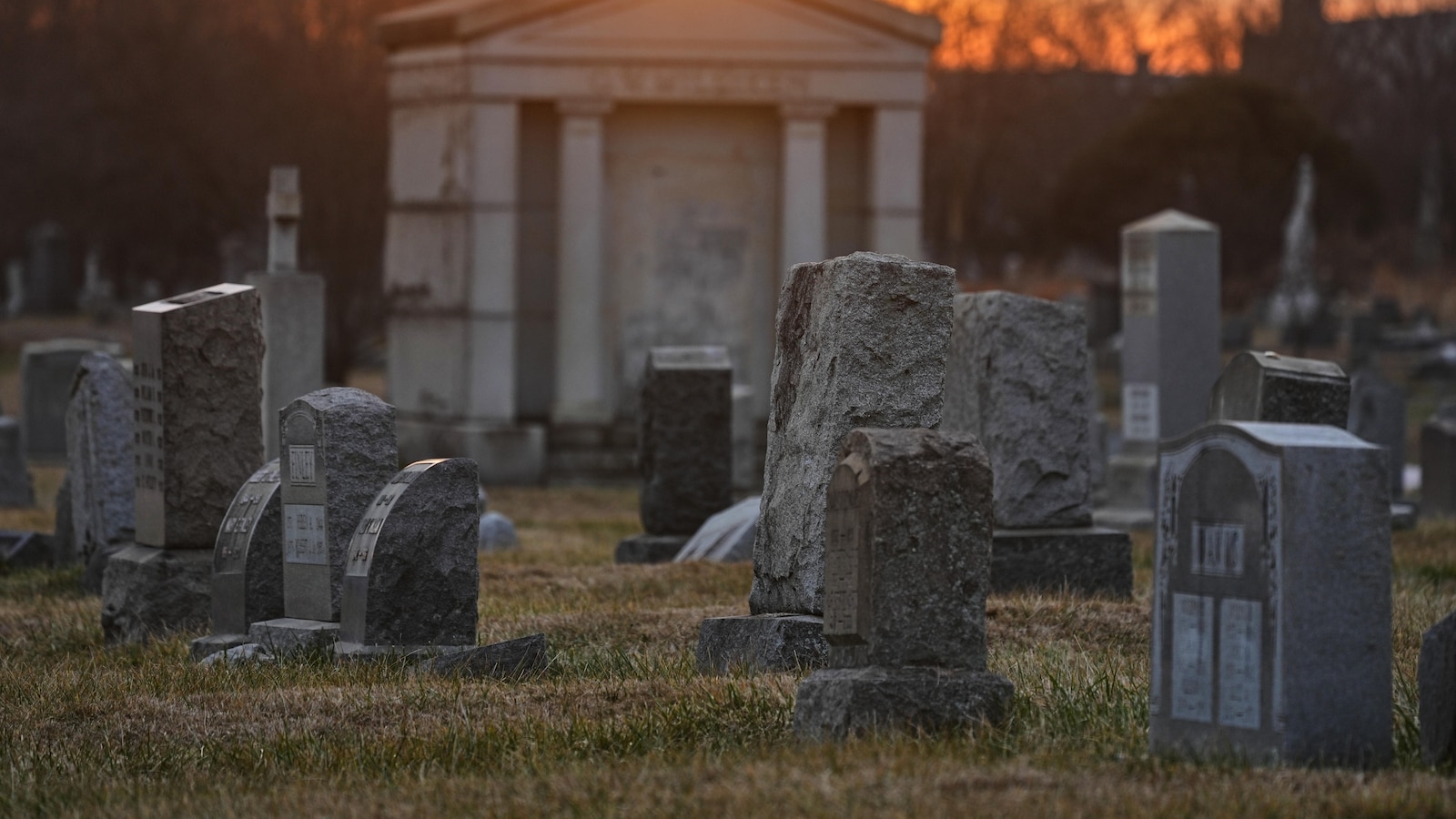  100 skulls, mummified body parts found in a Pennsylvania grave robbery case: Police