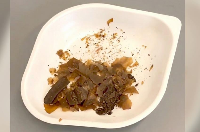  Romans used human feces as medicine 1,900 years ago — and used thyme to mask the smell