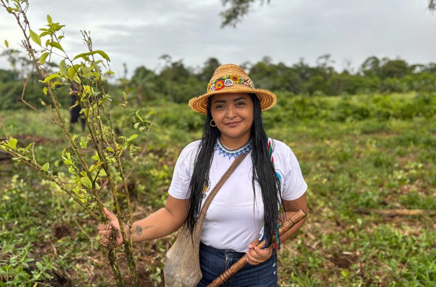  Trump and Petro clash over how best to uproot Colombia’s cocaine crops | Donald Trump News