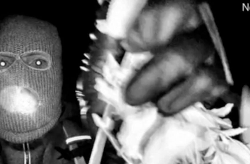  Sheriff shares result of glove DNA testing found in connection with Nancy Guthrie case