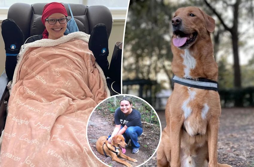  Pet owner says dog saved her life by detecting her breast cancer