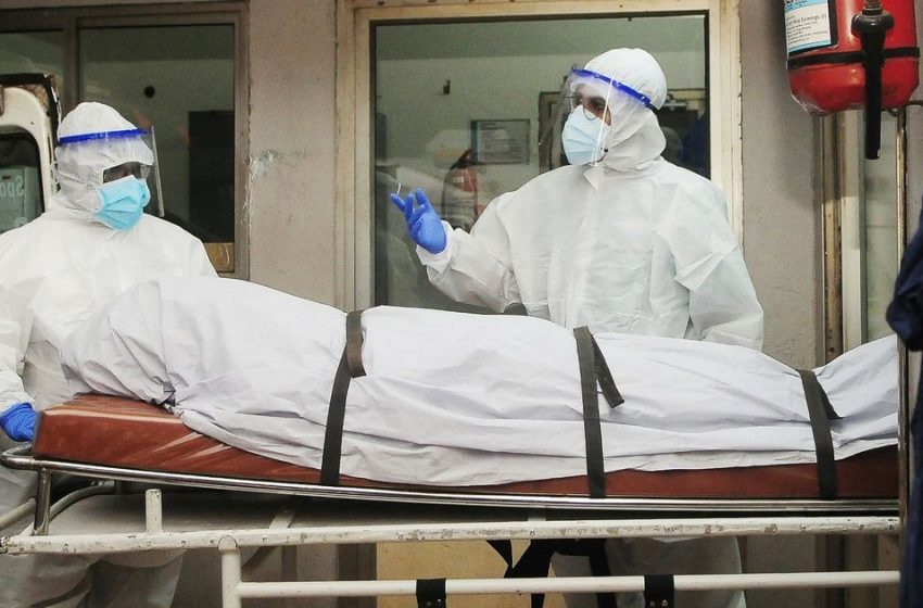  Woman dies from Nipah as brain-swelling virus feared to be next pandemic