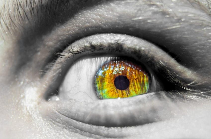  Earth’s Disastrous 10th Tipping Point Has Been Identified