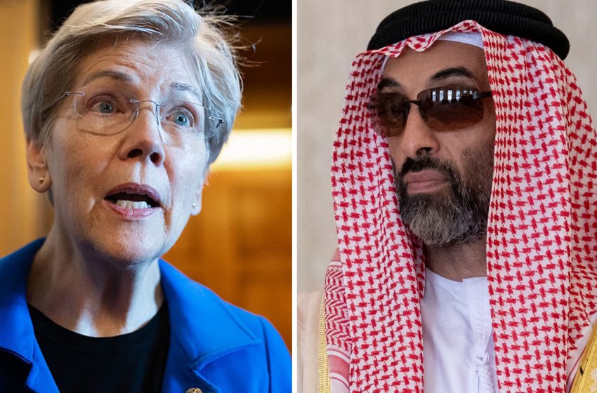  Warren to call for reversal of Trump’s UAE chip sales after ‘Spy Sheikh’ revelations
