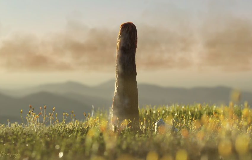  The largest life-form on land 400 million years ago was one that scientists can’t explain