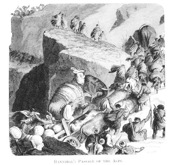  Ancient Elephant Bone May Prove Hannibal Legend