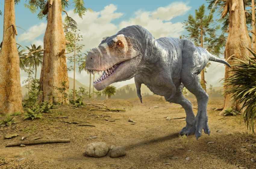  T. Rex Could Run Faster Than Usain Bolt, on Its Toes