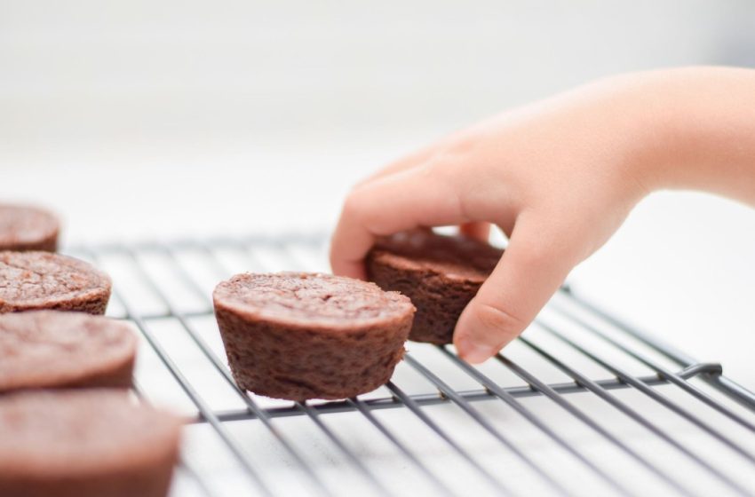  Child Obesity Hits Record High, as Adult Rates Level Off