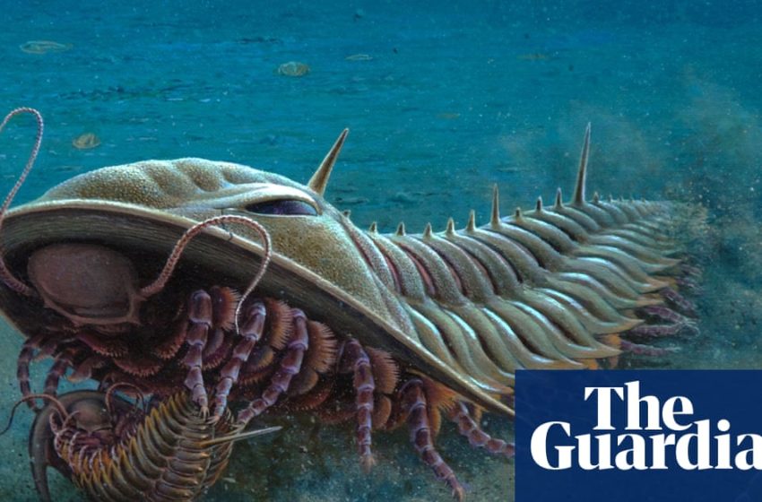  Drawings of Kangaroo Island fossils provide inspiration for stamp series | South Australia