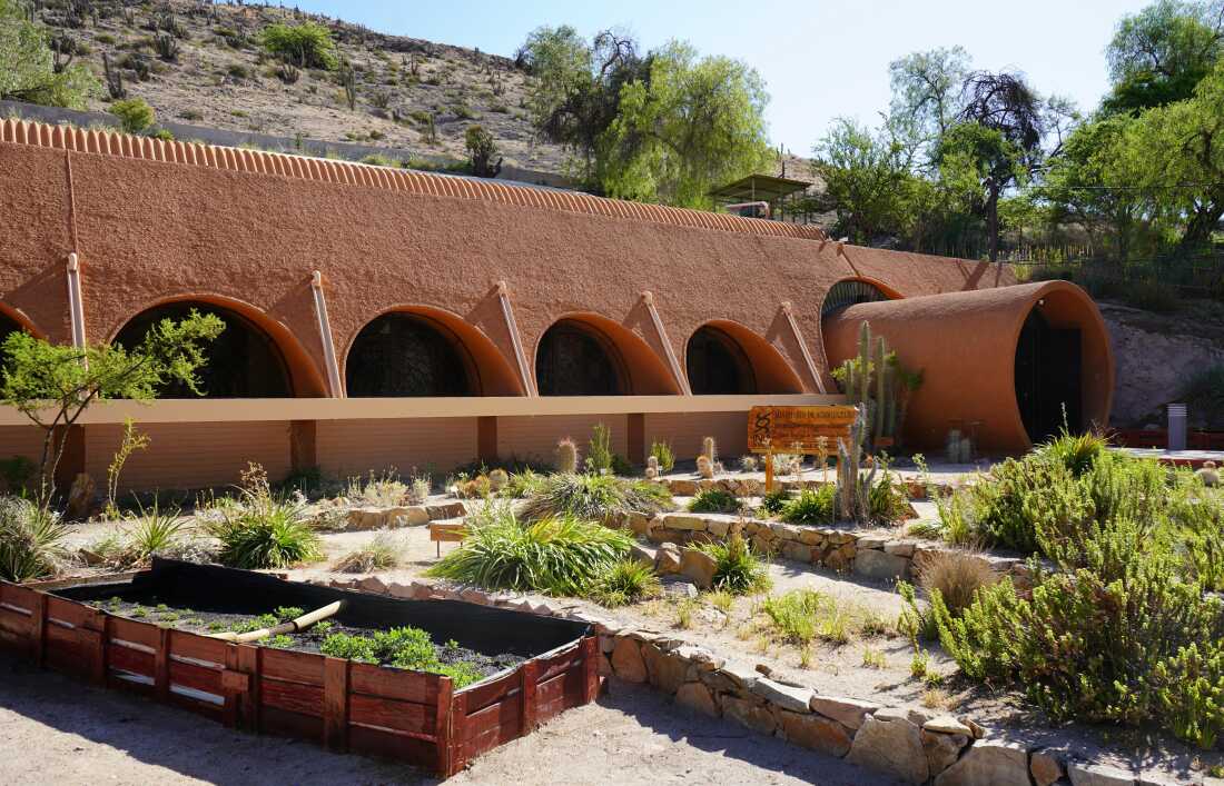 Nestled against the hillside, in the Atacama desert, the Initihuasi Seed Bank is safeguarding the future of biodiversity in the heart of the desert, one seed at a time.