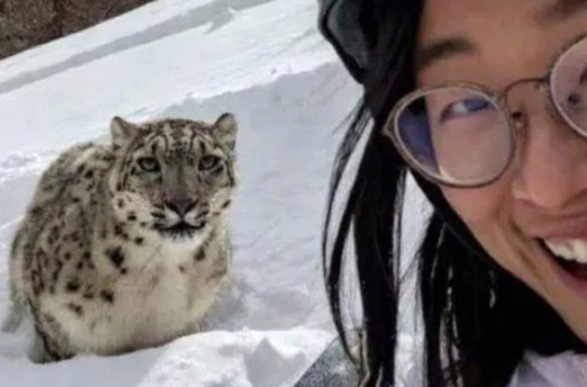  Tourist’s chilling last selfie seconds before snow leopard brutally mauls her