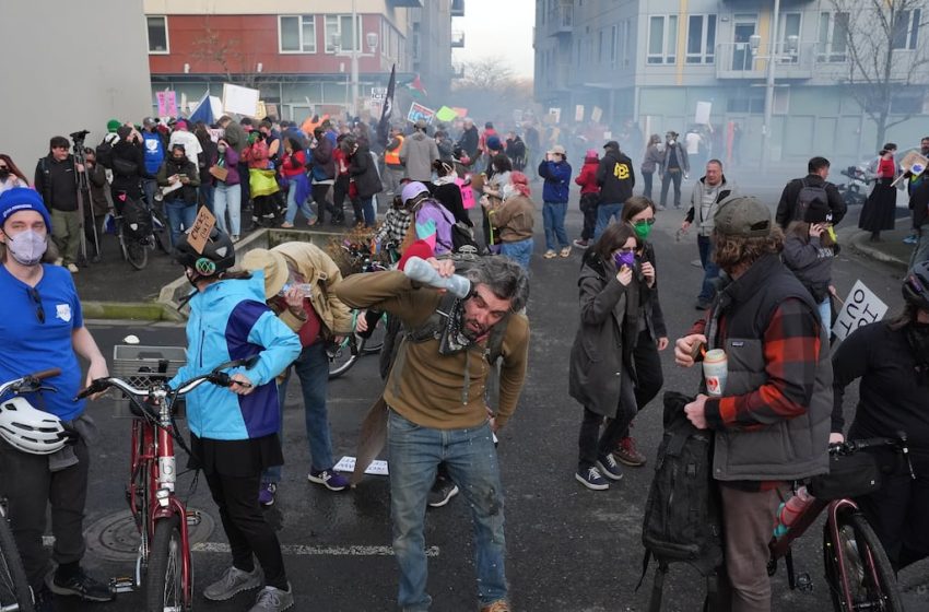  Judge considers limits on federal officers after weekend use of force on protesters, children in Portland