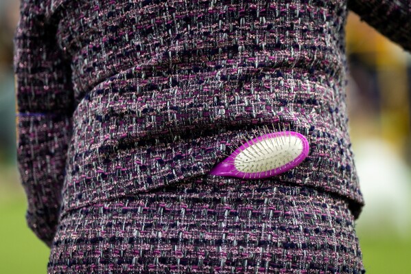 A handler keeps a dog brush in her skirt waistline while showing her dog at the 150th Westminster Kennel Club Dog Show, Monday, Feb. 2, 2026, in New York. (AP Photo/Angelina Katsanis)