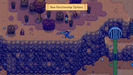 Shane and Emily were only added as marriage candidates in 1.1, way before the Switch release.