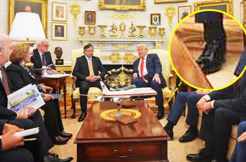  Trump, 79, Lets Cankles Slip in Photo With World Leader
