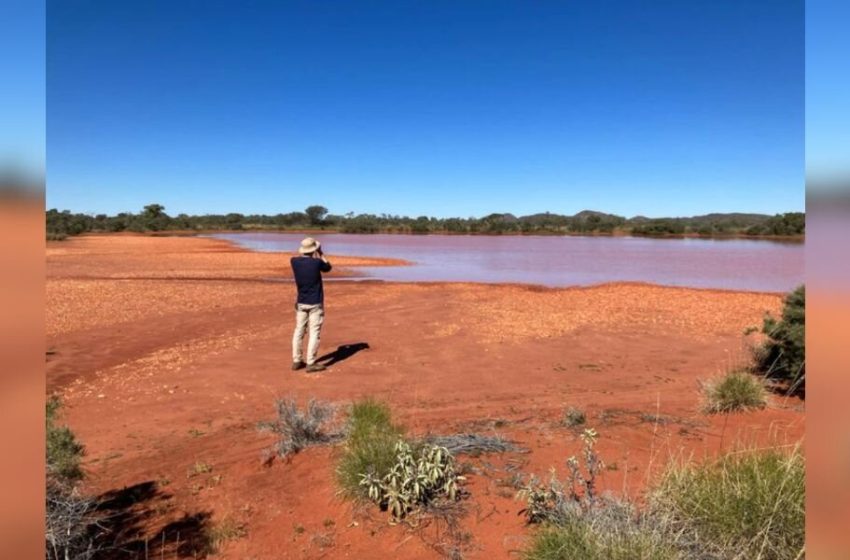  Man Snaps Pic Of Bird — And Realizes He’s Photographed The World’s Fastest Animal