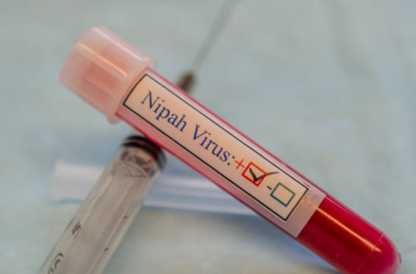  Nipah Symptoms: Nipah cases in India: Experts explain the sneaky symptoms, and deadly risks we are not aware of |