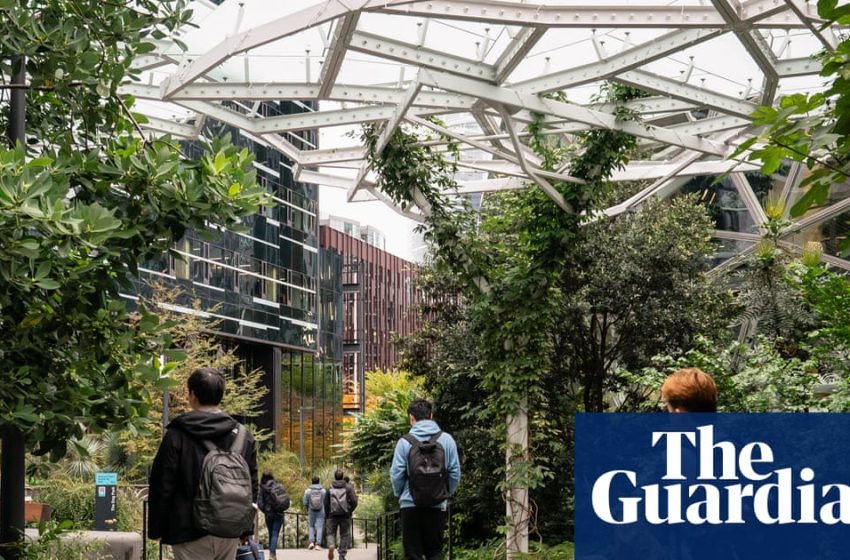  US companies accused of ‘AI washing’ in citing artificial intelligence for job losses | US news