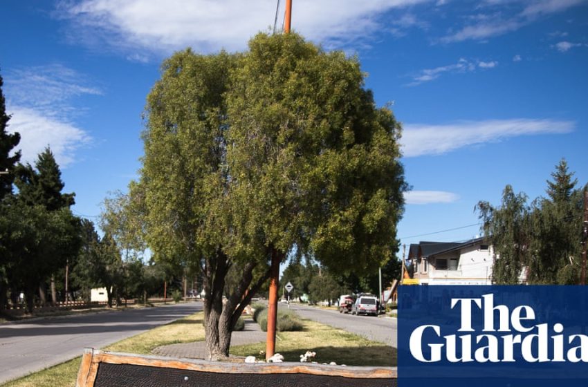  ‘We’re being turned into an energy colony’: Argentina’s nuclear plan faces backlash over US interests | Mining