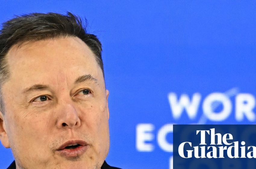  Elon Musk posted about race almost every day in January | Elon Musk