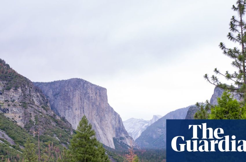  Trump nominates hospitality executive to lead National Park Service | Trump administration