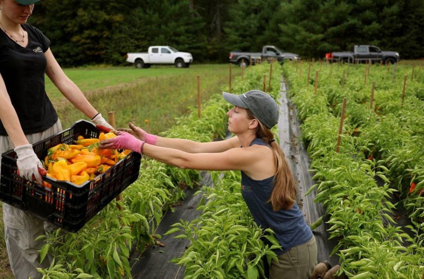  GOP Ripped for ‘Grotesque’ Farm Bill Full of ‘Industry-Backed Poison Pills’