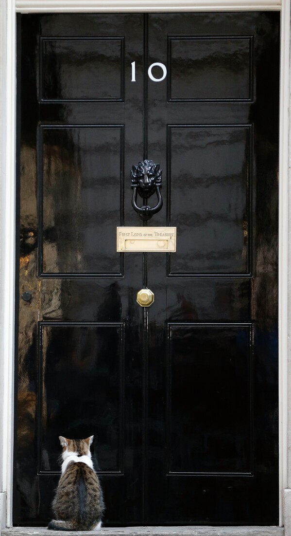 Larry the Cat waits outside number 10 Downing Street in London, Thursday Sept. 10, 2015. (AP Photo/Frank Augstein, file)
