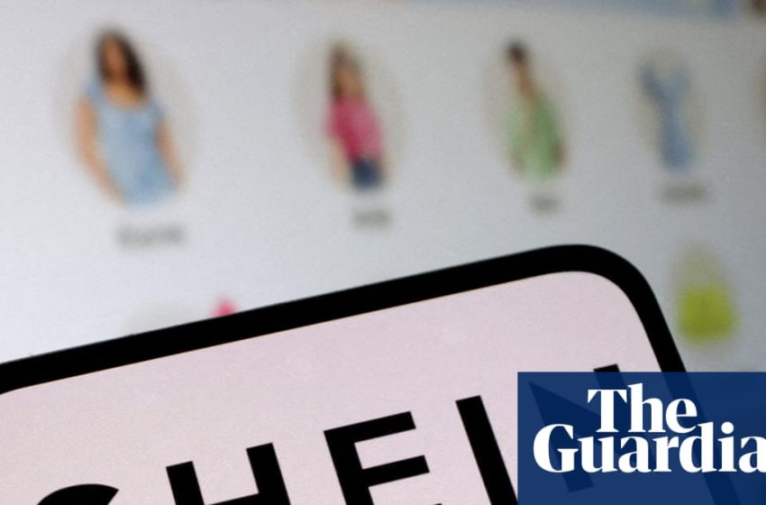  EU to investigate Shein over sale of childlike sex dolls and weapons | Shein