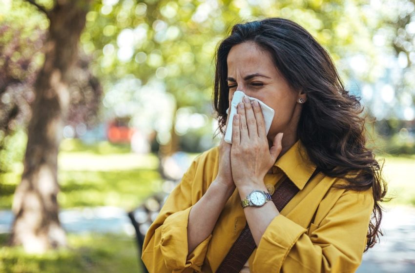  Prep for spring allergy season: These remedies can help you breathe easier