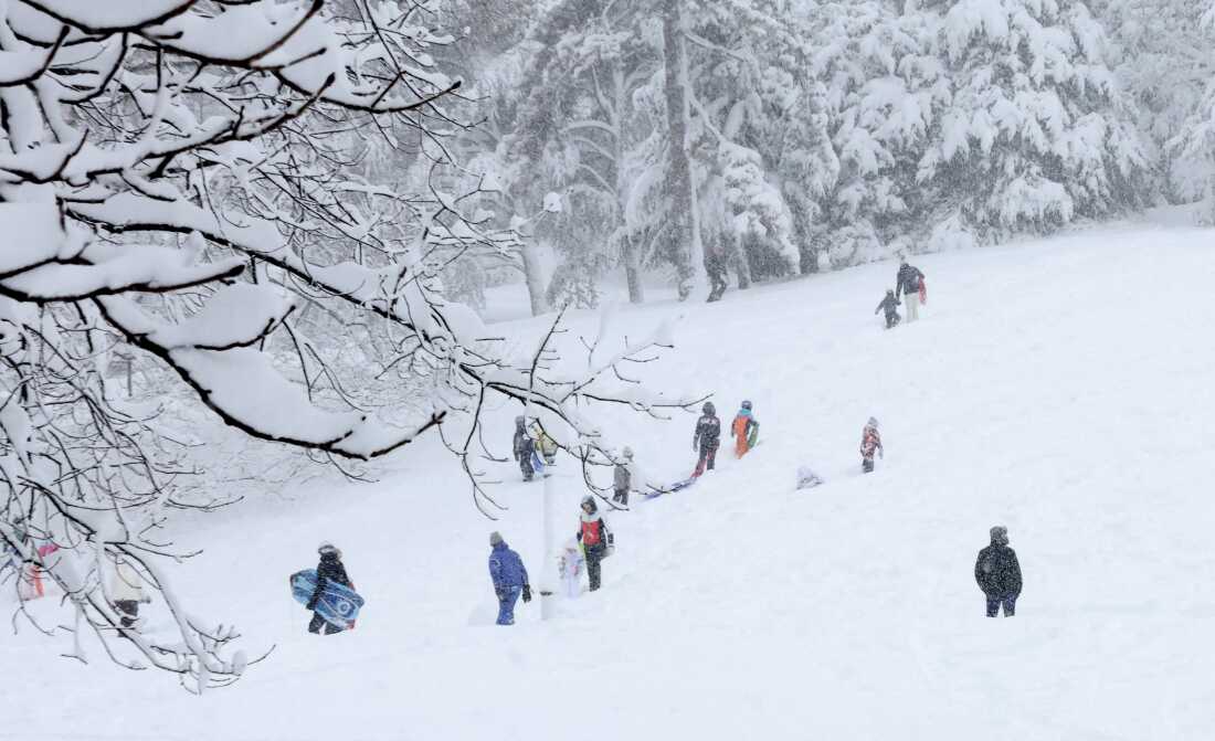 Children sled on Cedar Hill in Central Park in New York on Feb. 23 during a snow storm.