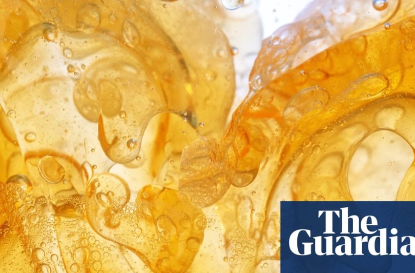  The truth about fat, and its complex role in our health – podcast | Science