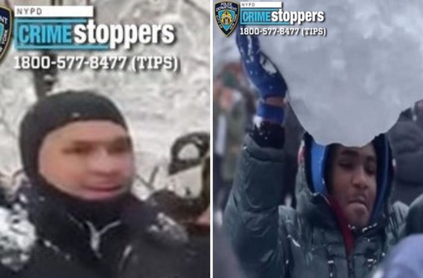  NYC Mayor Mamdani responds after multiple NYPD officers hit with snowballs, injured in Washington Square Park in Manhattan