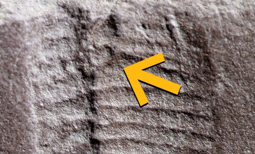  Instead of paying attention to Trump, Check this out instead… – Daily Kos