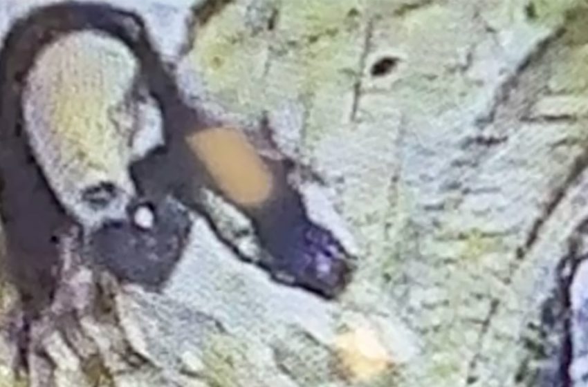  Maryland man donned disguise to kill millionaire philanthropist in nursing home, police say