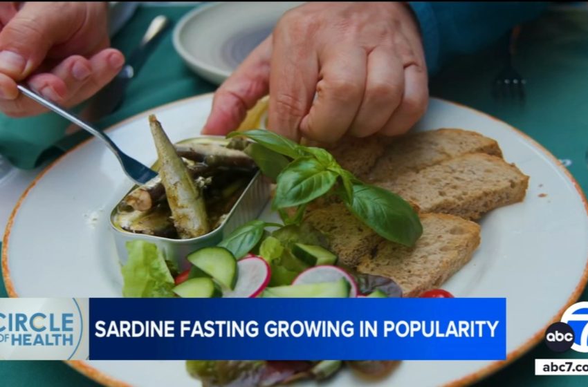 Sardine fasting: a fad or does eating only fish really boost health and weight loss?