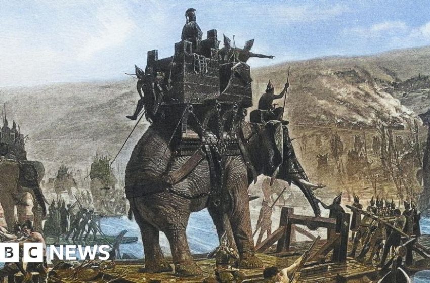  Ancient bone found in Spain could be from Hannibal's war elephants – BBC