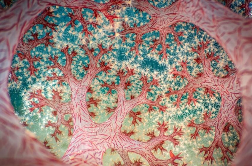  Can You Guess What Creature Won the Close-Up Photographer of the Year Competition?