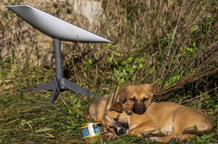  How does the cutoff of Starlink terminals affect Russia’s moves in Ukraine? | Russia-Ukraine war News