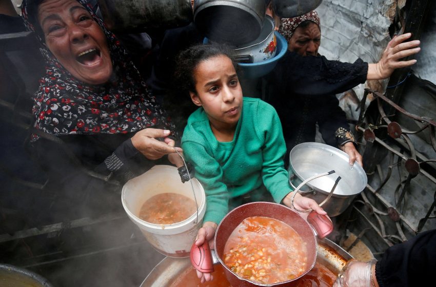  ‘Red line’: Global NGOs working in Gaza defy Israel’s threats after MSF ban | Israel-Palestine conflict News