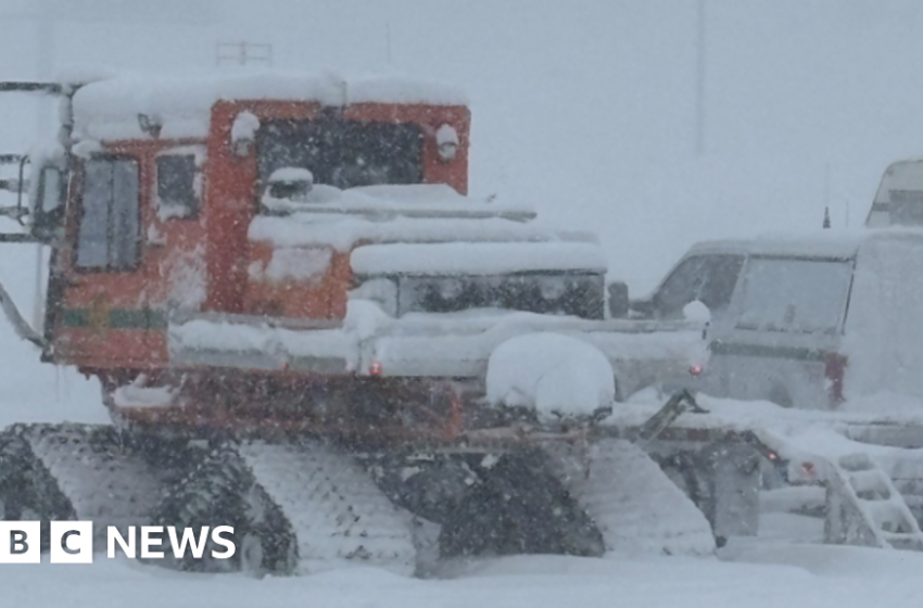 Rescuers search for 10 missing skiers after California avalanche – BBC