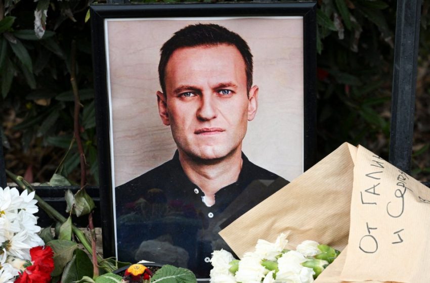  Why a dart frog poison believed to have killed Alexei Navalny points to the Kremlin