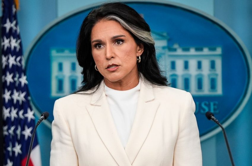  Tulsi Gabbard accused of trying to ‘bury’ whistleblower complaint